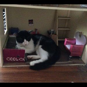 Meet your Posher, Tracey